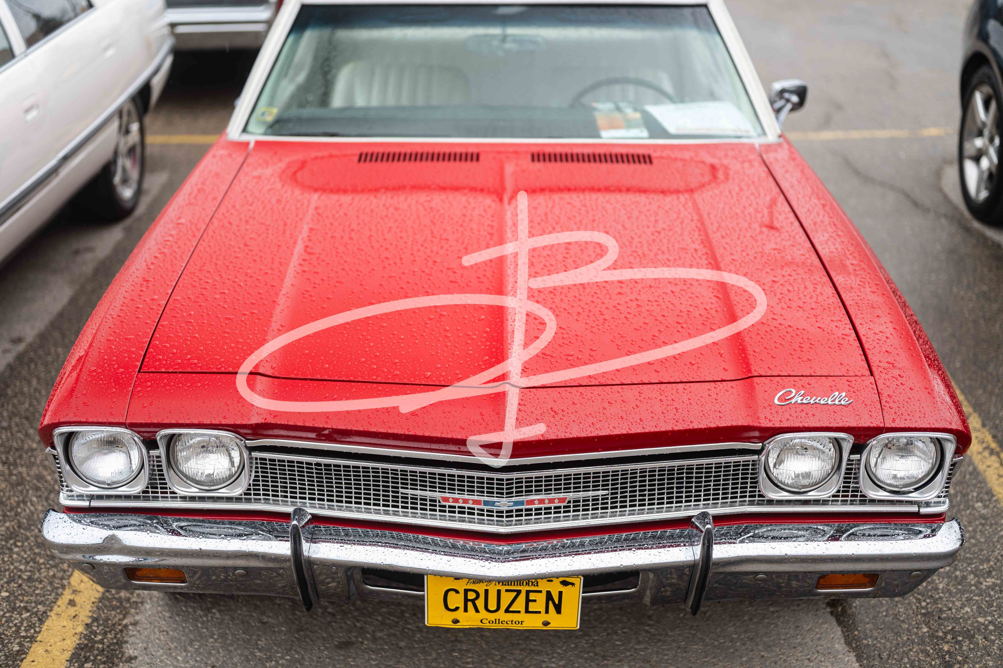 Bezzia Photography 62-WCC May 17, 2026