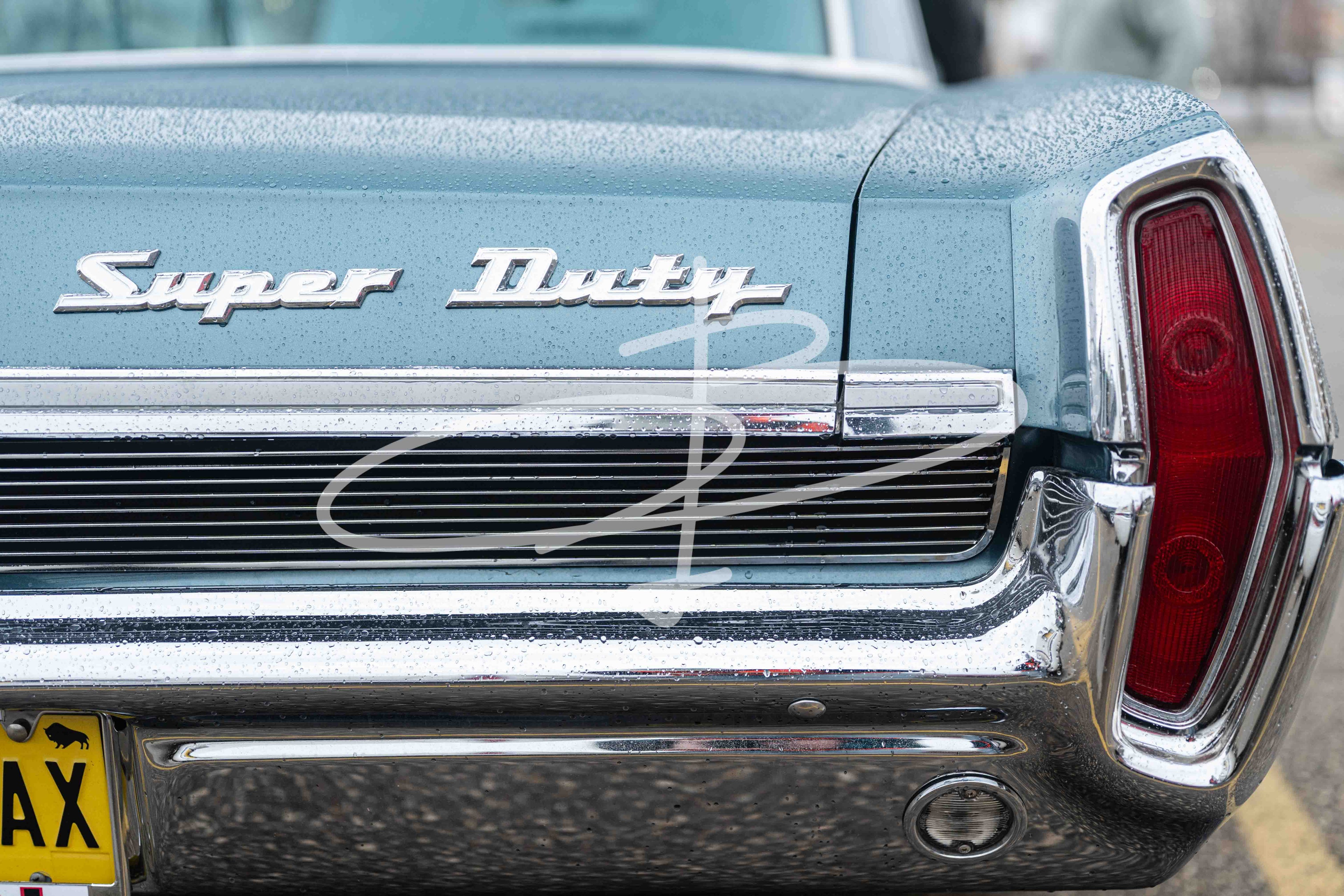 Bezzia Photography 72-WCC May 17, 2026
