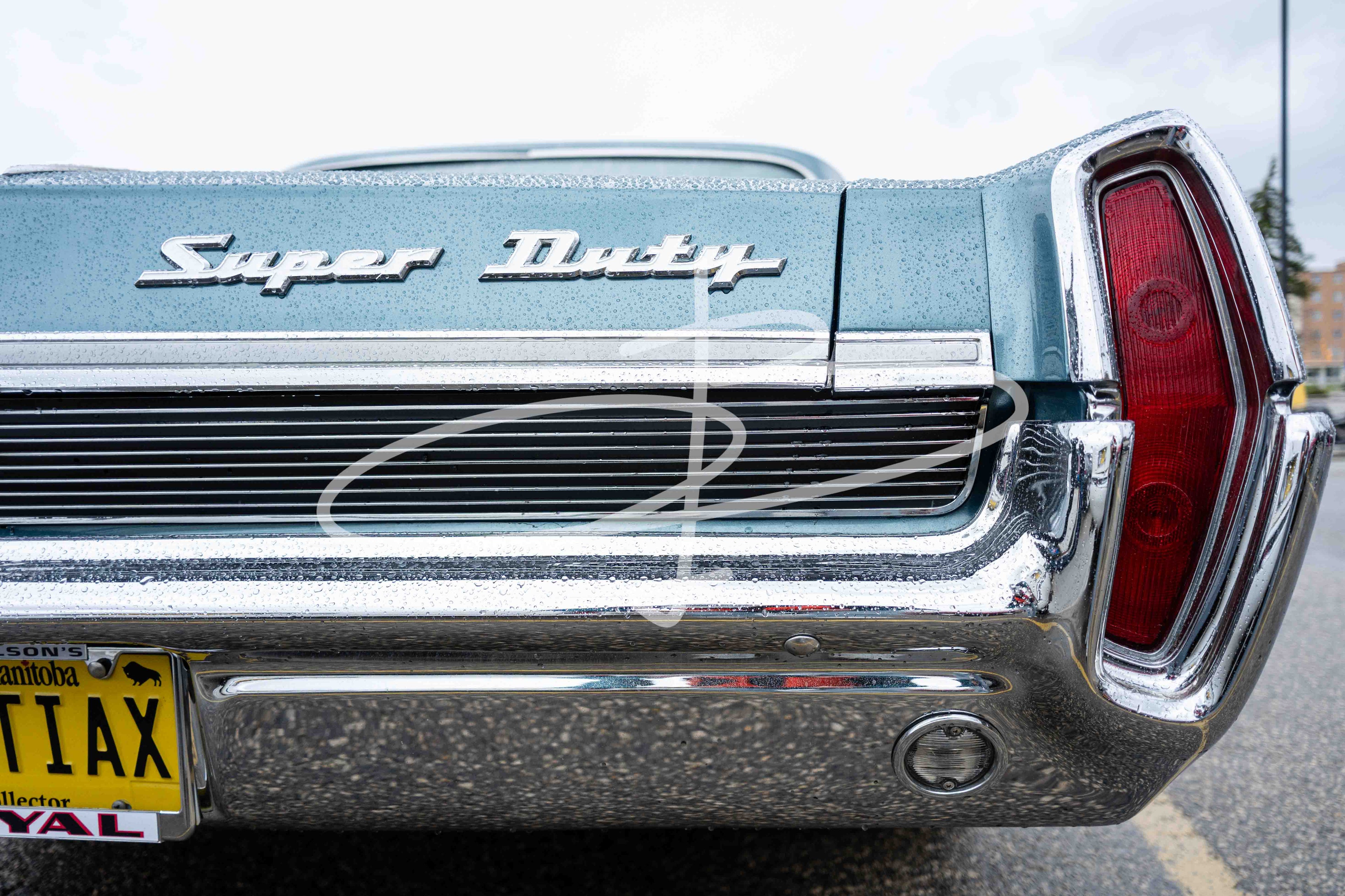Bezzia Photography 73-WCC May 17, 2026