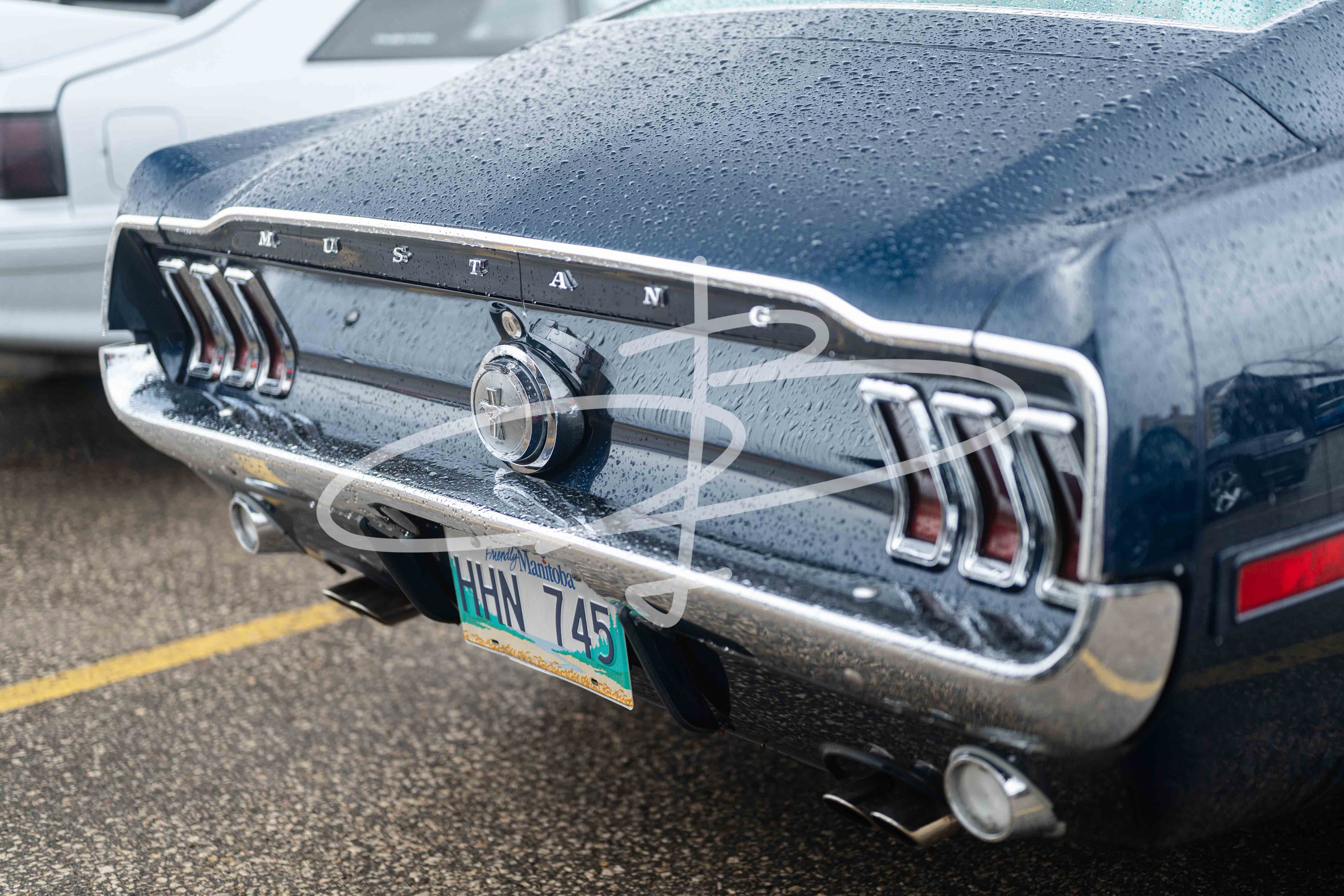 Bezzia Photography 81-WCC May 17, 2026