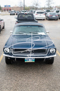 Bezzia Photography 84-WCC May 17, 2026