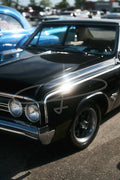 Bezzia Photography 5134-WCC May 17, 2026