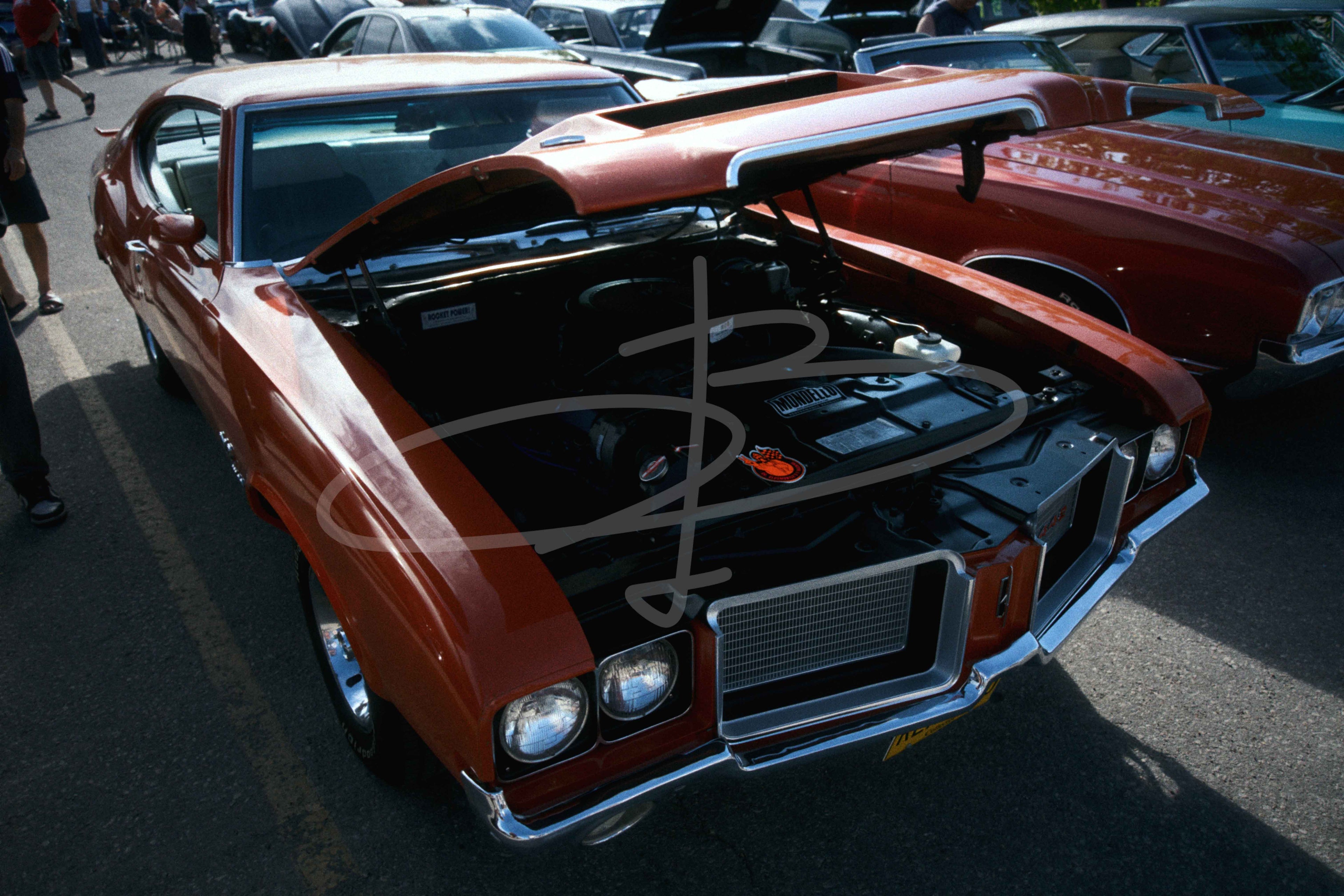 Bezzia Photography 5200-WCC May 31, 2026