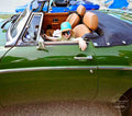 Tara Life Unscripted Photography-23, May 24, 2026