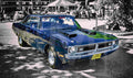Merlin Creative 4429 WCC June14, 2026