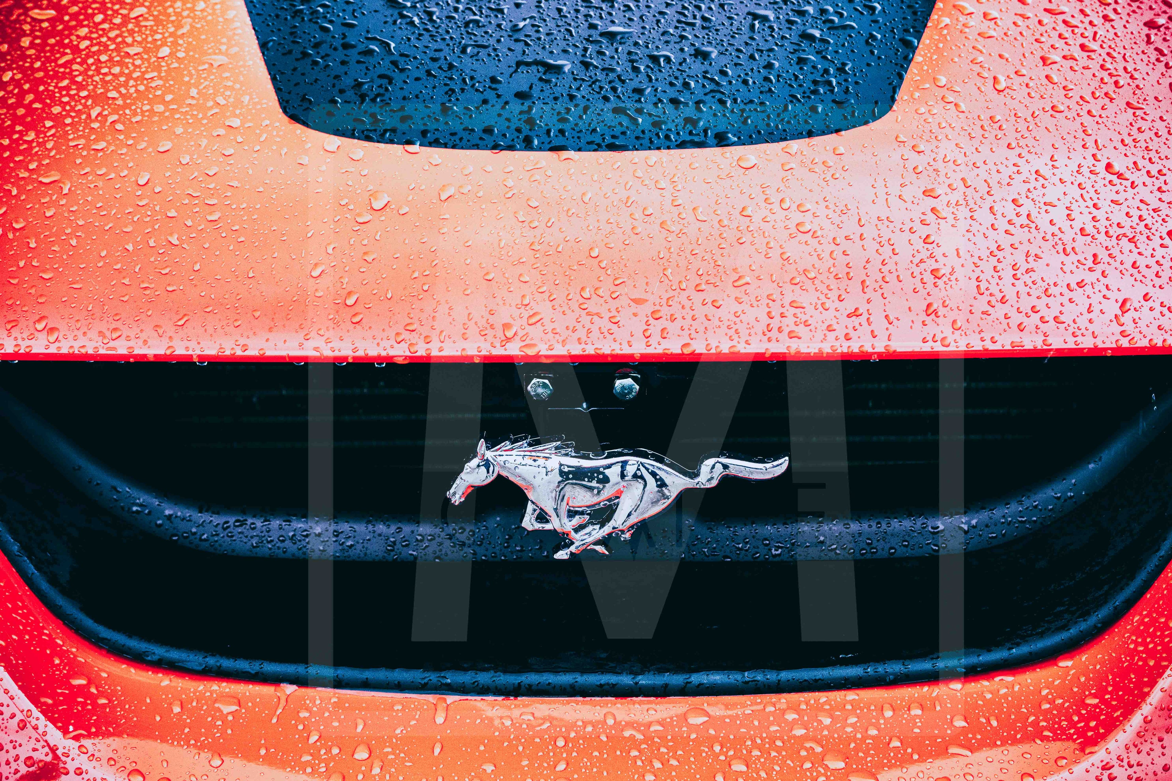 Merlin creative 8466 May 17, 2026